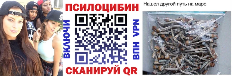 Псилоцибиновые грибы GOLDEN TEACHER  Лаишево 
